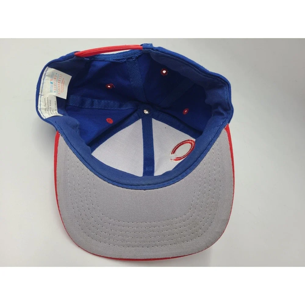 Vintage Youth Chicago Cubs Looney Tunes Fowl Play Taz Daffy Snapback Hat Cap MLB